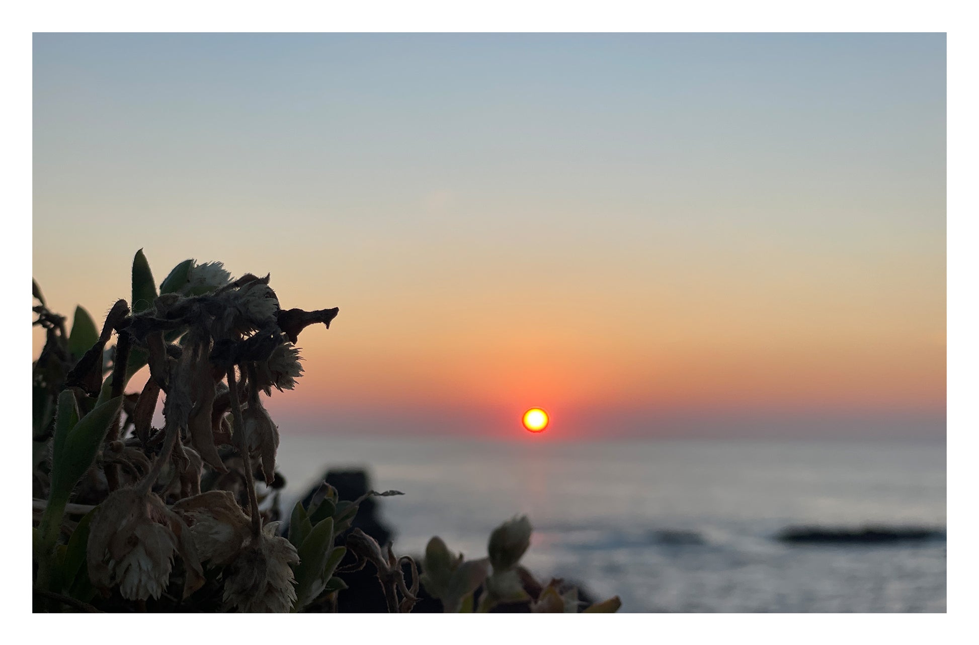 Sunbound